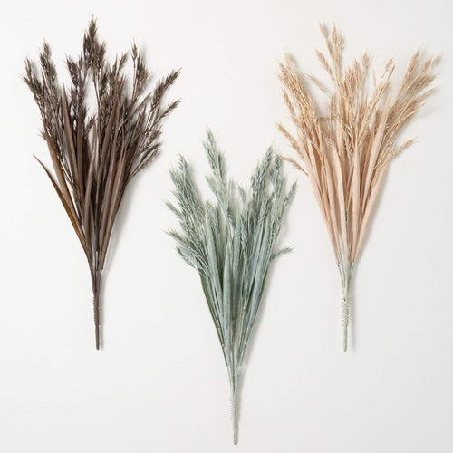 Hued Wheat Bush