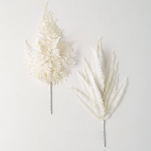 Cream Lace Fern Bush