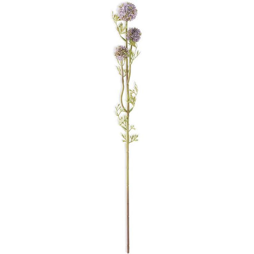 Purple Mini Allium Stem