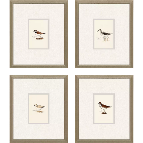 Shorebirds Art