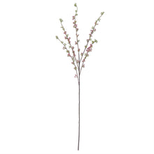 Load image into Gallery viewer, Hoary Willow Spray