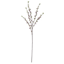 Load image into Gallery viewer, Hoary Willow Spray