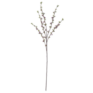 Hoary Willow Spray