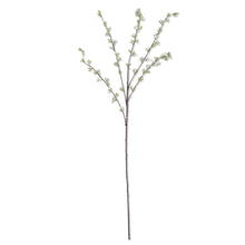 Load image into Gallery viewer, Hoary Willow Spray