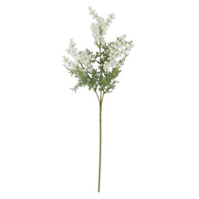 Load image into Gallery viewer, Mini Bur Stem