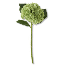 Load image into Gallery viewer, Hydrangea Stem