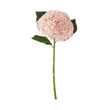 Load image into Gallery viewer, Hydrangea Stem