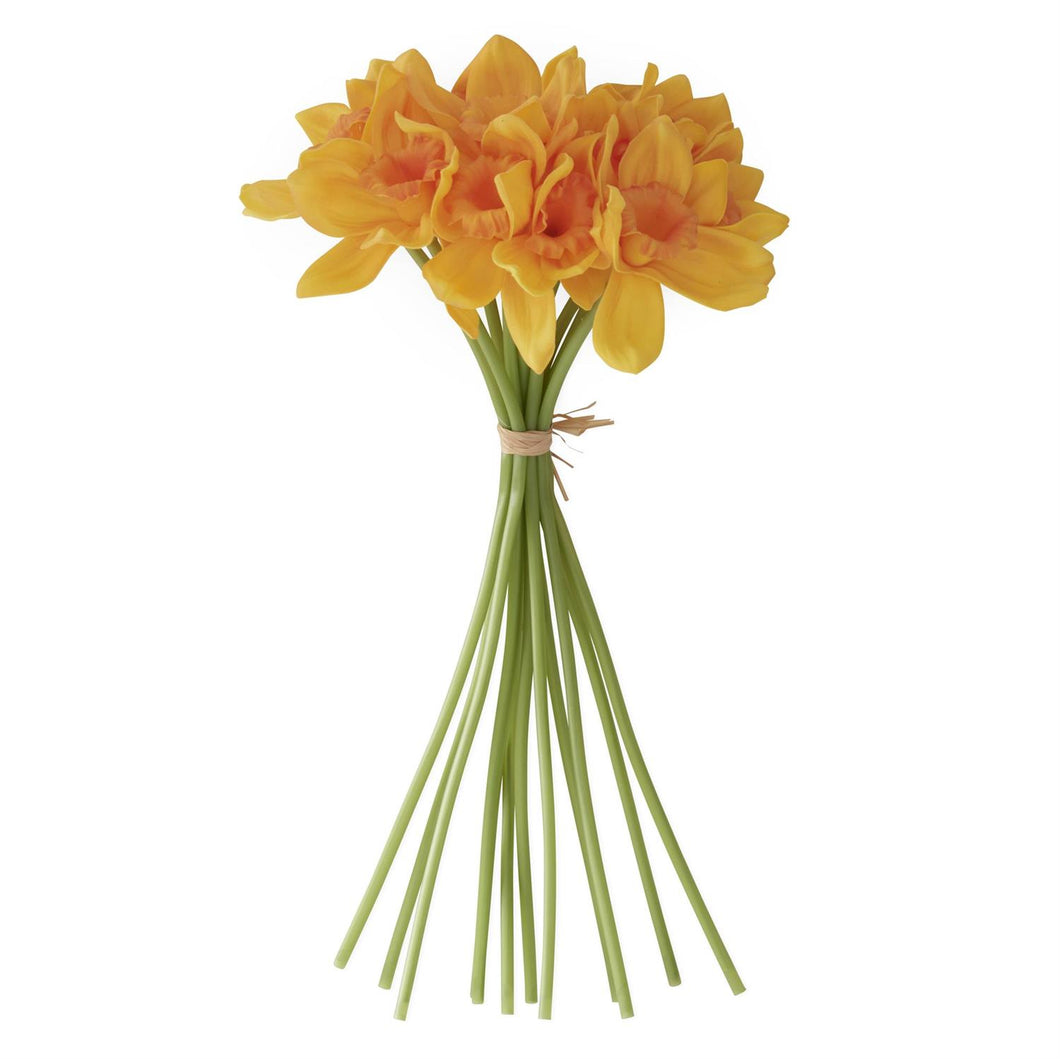 Yellow Orange Daffodil Bundle