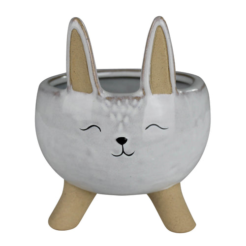 Bunny Bowl
