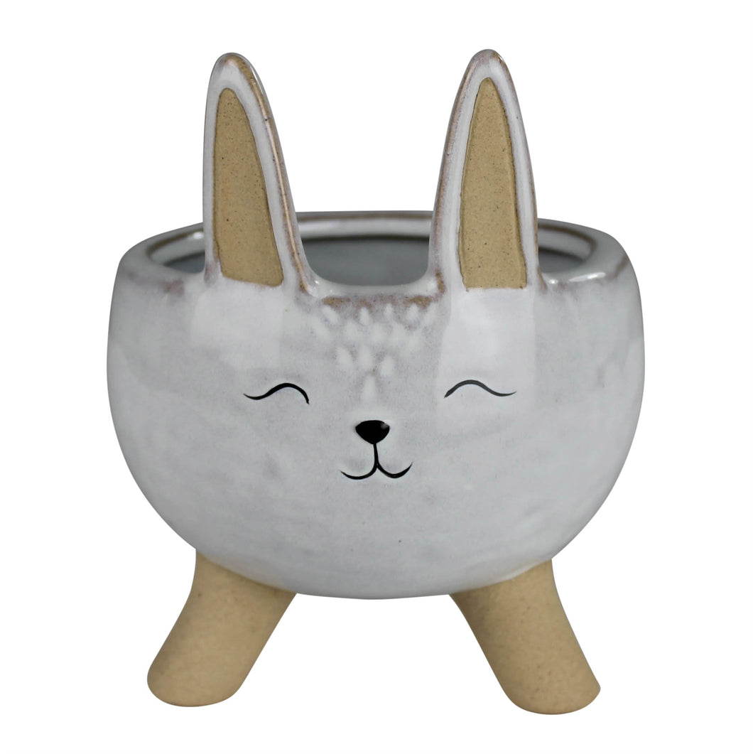 Bunny Bowl