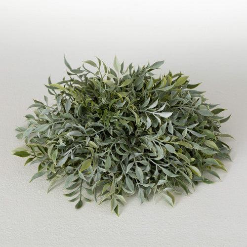 Ruscus Orb