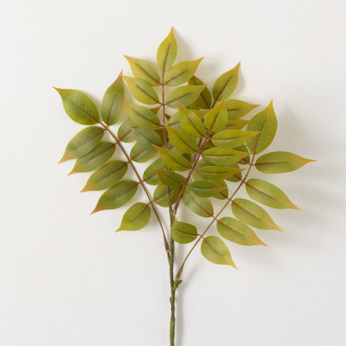 Yellow Green Ruscus Spray