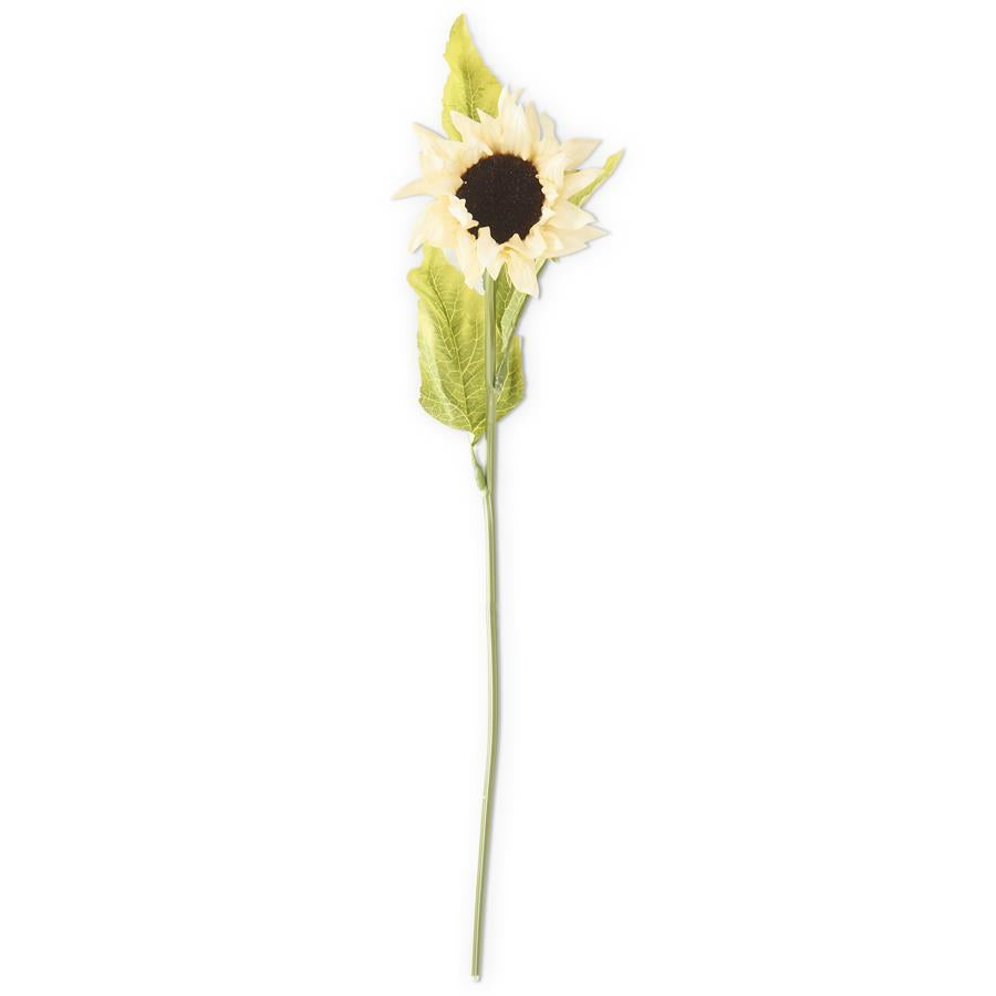 Cream Sunflower Stem