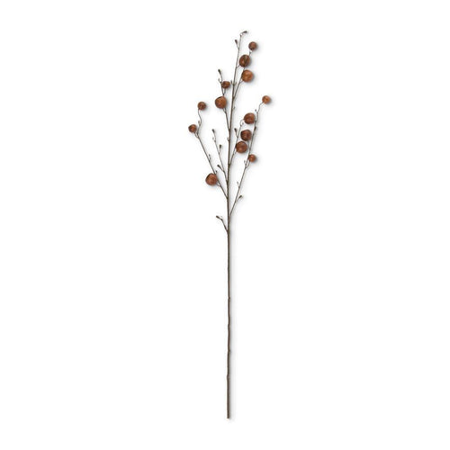 Brown Pod Stem