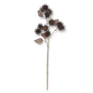 Dark Brown Thistle Stem