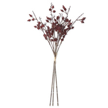 Load image into Gallery viewer, Straw Flower Stem