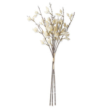 Load image into Gallery viewer, Straw Flower Stem