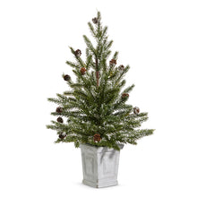 Load image into Gallery viewer, Pine Tree in White Container