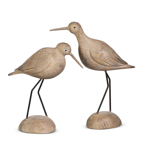 Dunlin Bird