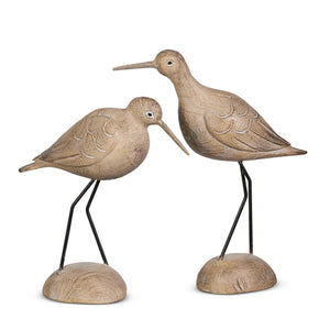 Dunlin Bird