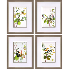Load image into Gallery viewer, Botanical Reverie Art