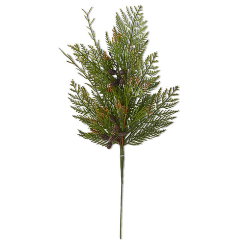 Juniper Pinecone Stem