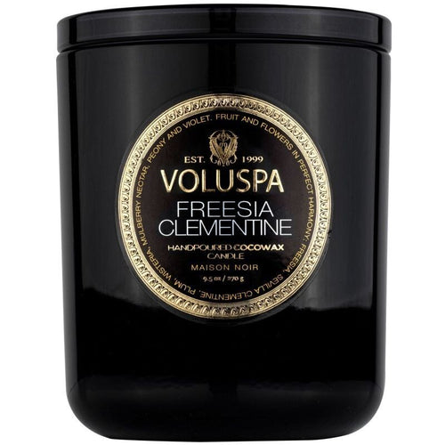 Freesia Clementine Classic