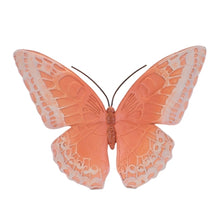 Load image into Gallery viewer, Colorful Butterfly