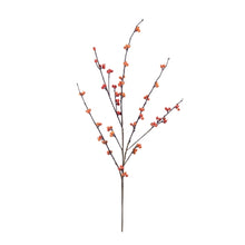 Load image into Gallery viewer, Berry Spray
