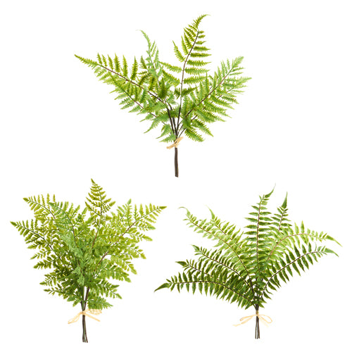 Soft Touch Fern Bundle