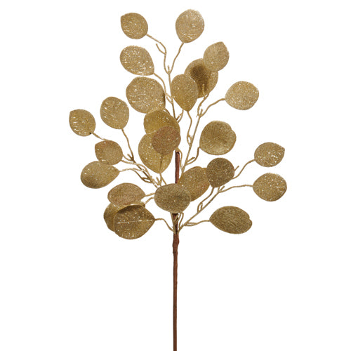 Gold Eucalyptus Spray