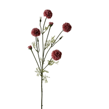 Load image into Gallery viewer, Chrysanthemum Stem