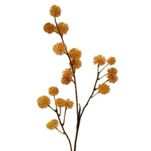 Load image into Gallery viewer, Seed Stem