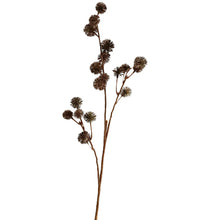 Load image into Gallery viewer, Seed Stem