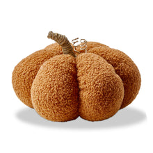 Load image into Gallery viewer, Boucle Pumpkin Decor