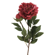 Load image into Gallery viewer, Real Touch Peony Stem