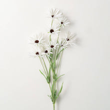 Load image into Gallery viewer, Daisy Stem