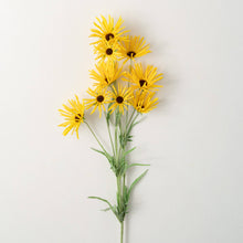 Load image into Gallery viewer, Daisy Stem