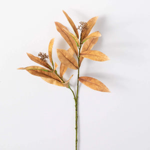 Amber Leaf Seed Spray
