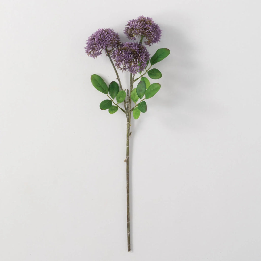 Purple Sedum Spray