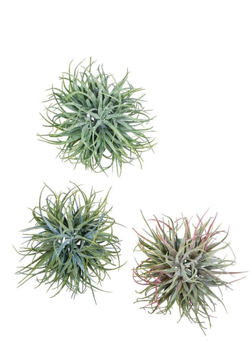 Air Grass Orb