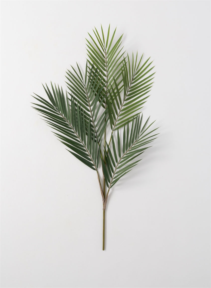 Palm Spray