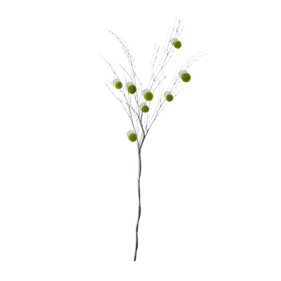 Moss Ball Stem