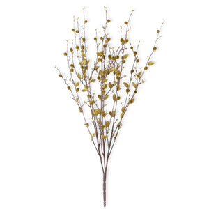 Green Pussy Willow