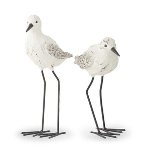 Seagull