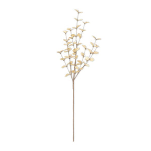 Soft Eucalyptus Stem