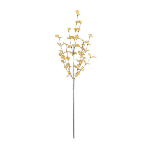 Soft Eucalyptus Stem
