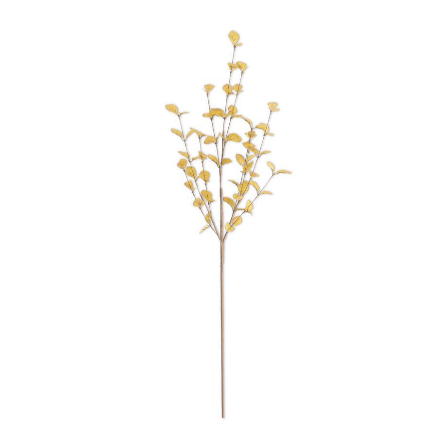 Soft Eucalyptus Stem
