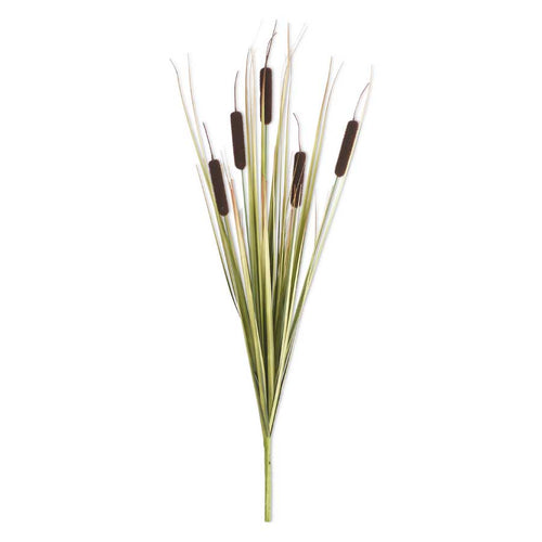 Cattail Bush