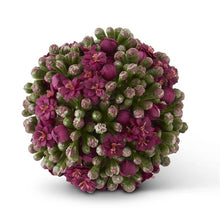 Load image into Gallery viewer, Kalanchoe Ball